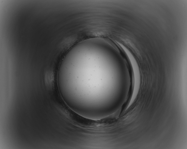 X0000088360260200705291313