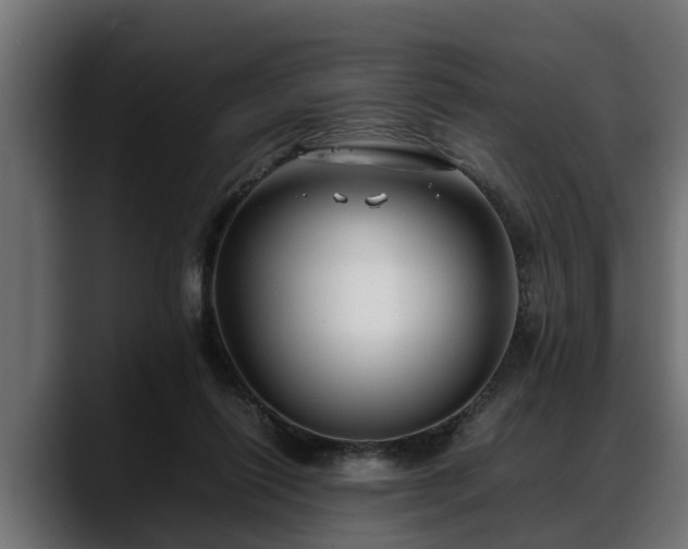 X0000088360262200705291313