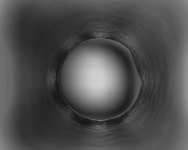 X0000088360263200705291313