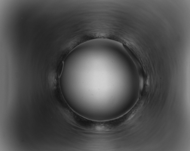 X0000088360264200705291313