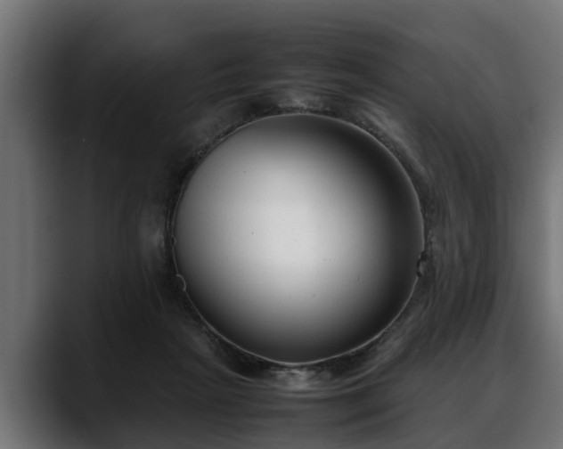 X0000088360265200705291313