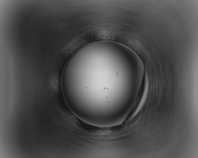 X0000088360266200705291313