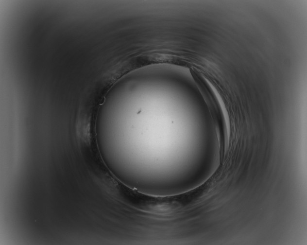 X0000088360267200705291313