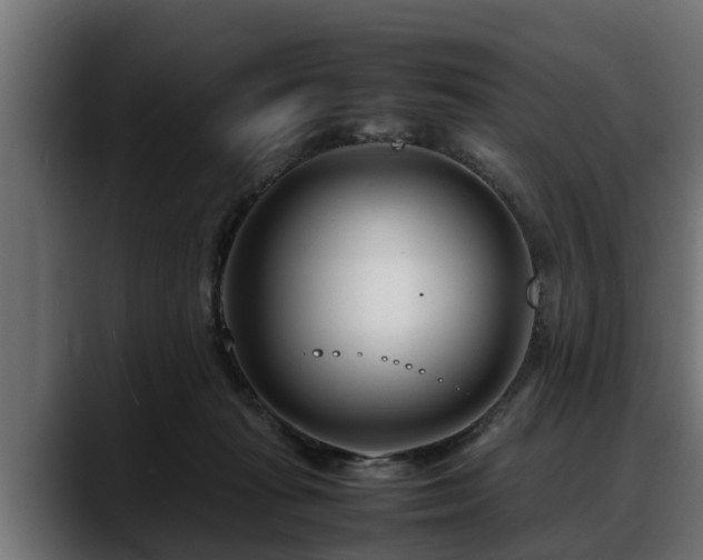 X0000088360269200705291313