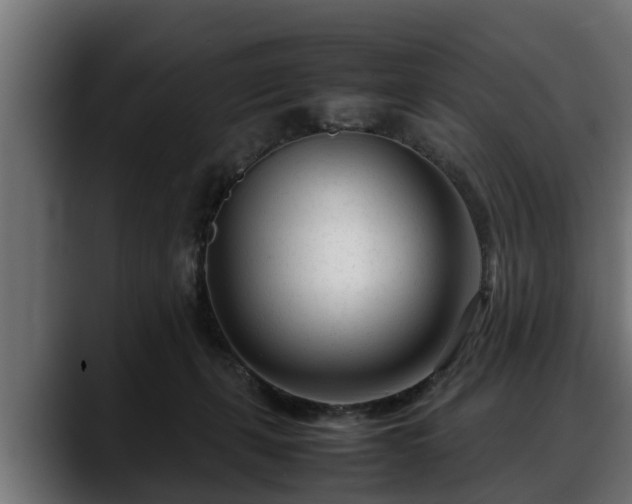 X0000088360271200705291313