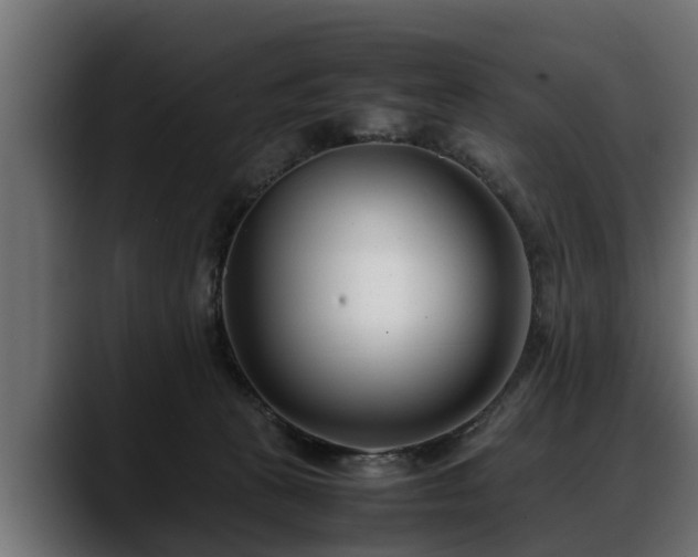 X0000088360273200705291313