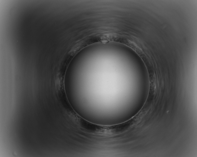 X0000088360276200705291313