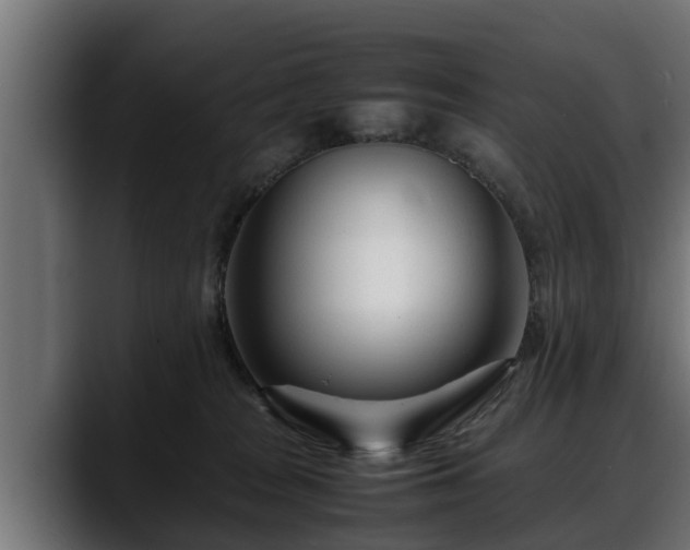 X0000088360277200705291313