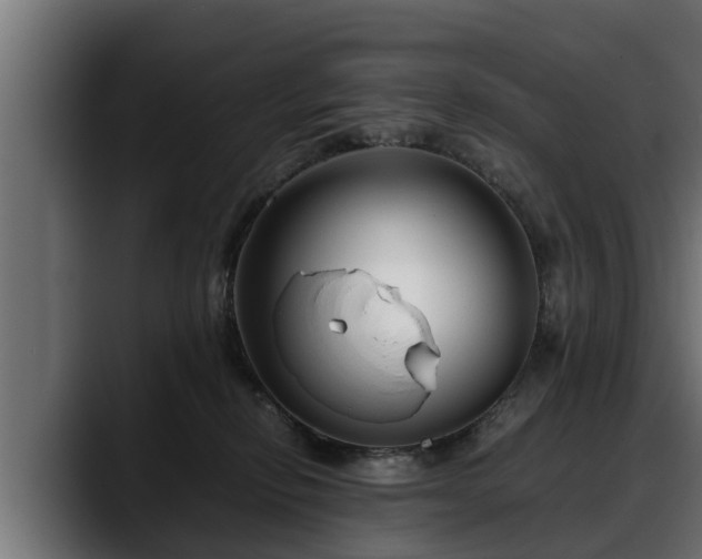 X0000088360278200705291313