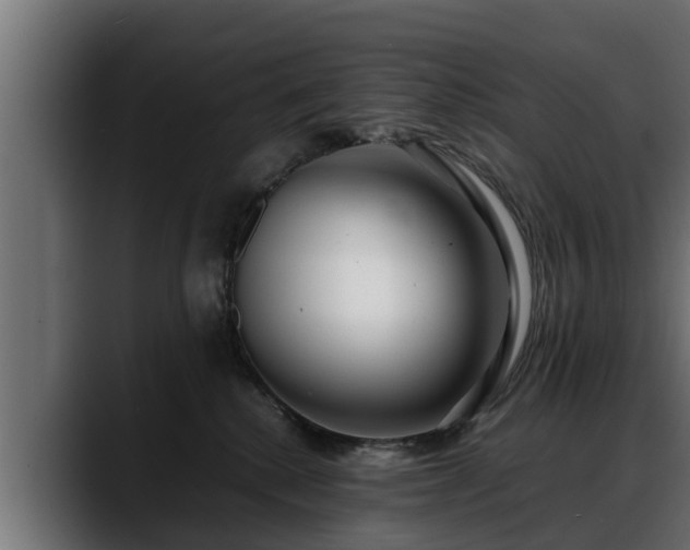 X0000088360280200705291313