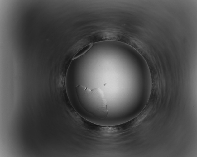 X0000088360281200705291313