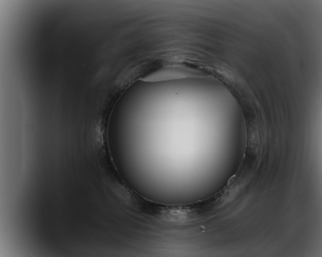 X0000088360282200705291313