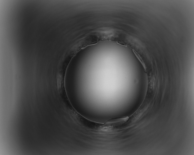 X0000088360283200705291313