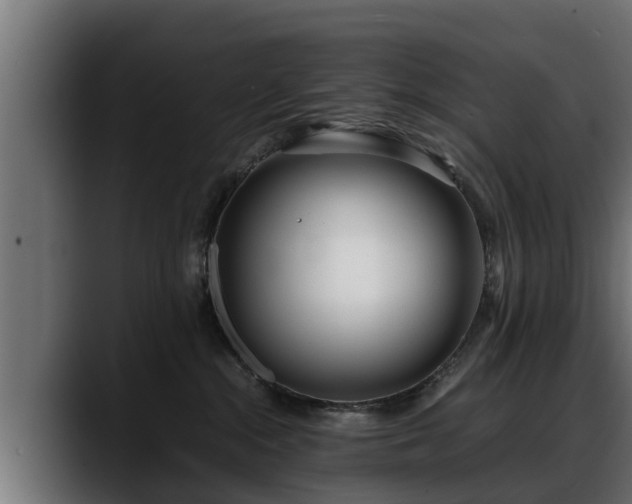 X0000088360284200705291313