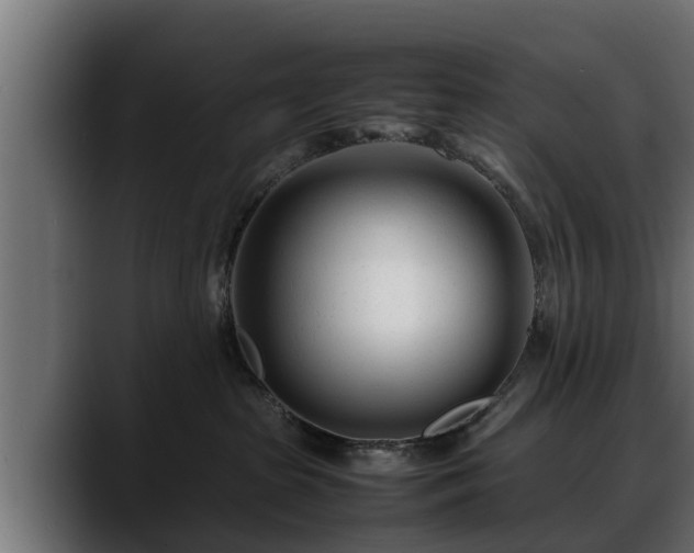 X0000088360285200705291313