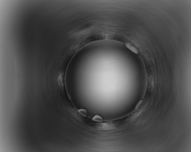 X0000088360286200705291313