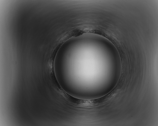 X0000088360288200705291313