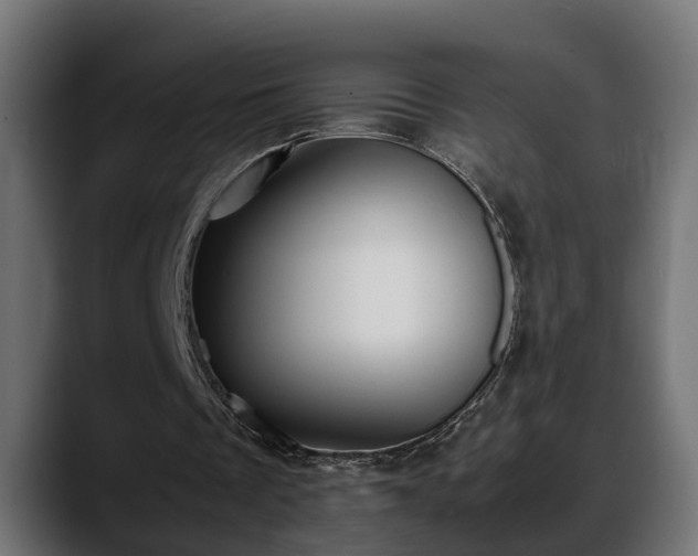 X0000088360289200705291313