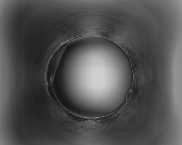 X0000088360290200705291313