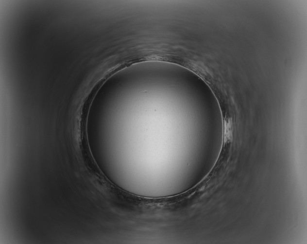 X0000088360291200705291313