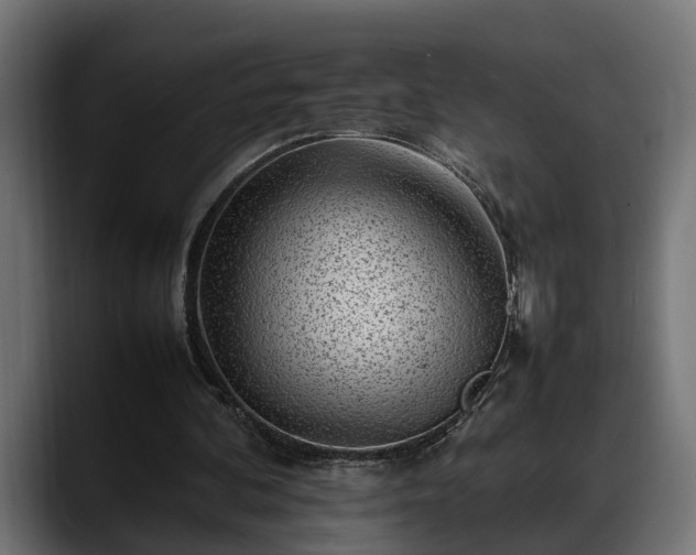 X0000088360292200705291313