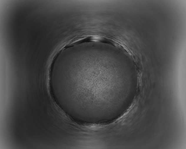 X0000088360293200705291313