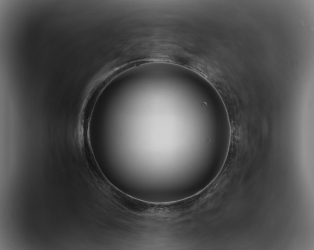 X0000088360294200705291313