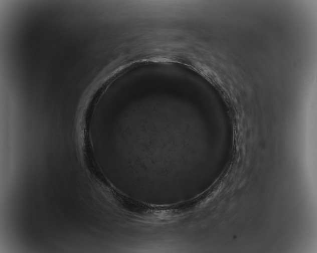 X0000088360295200705291313