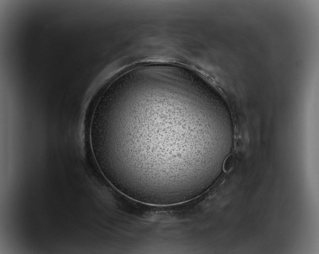 X0000088360296200705291313