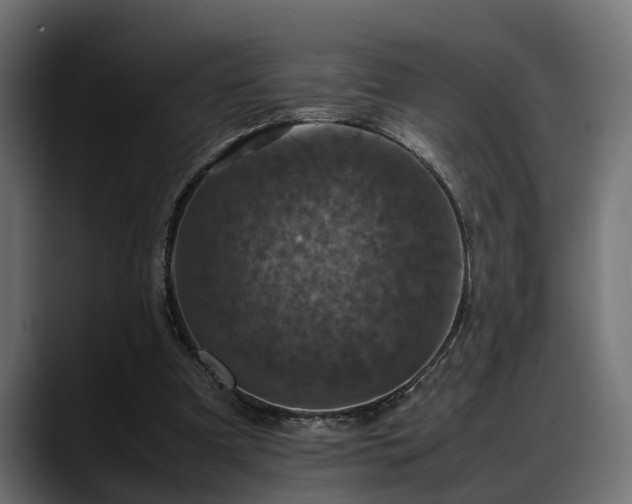 X0000088360297200705291313