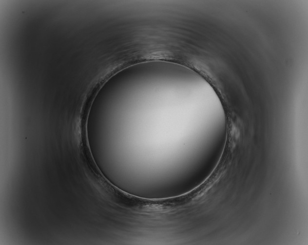 X0000088360298200705291313