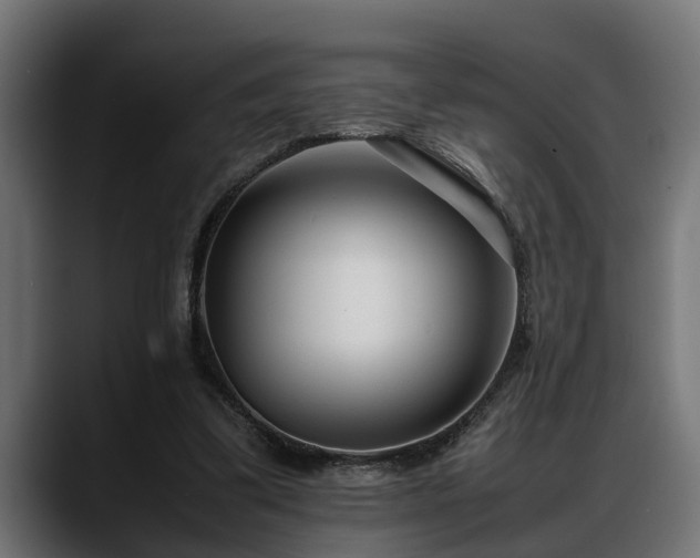 X0000088360299200705291313