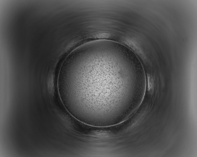 X0000088360300200705291313