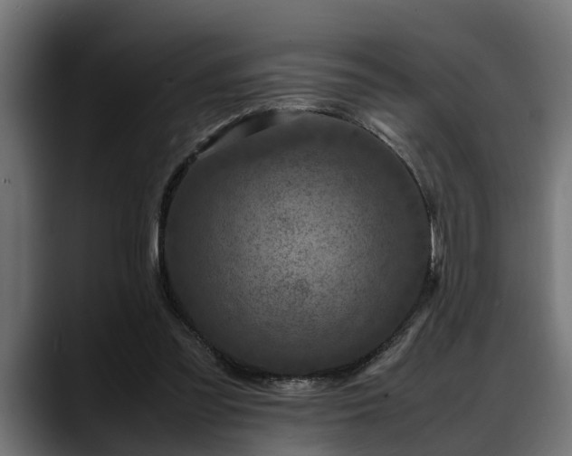 X0000088360301200705291313