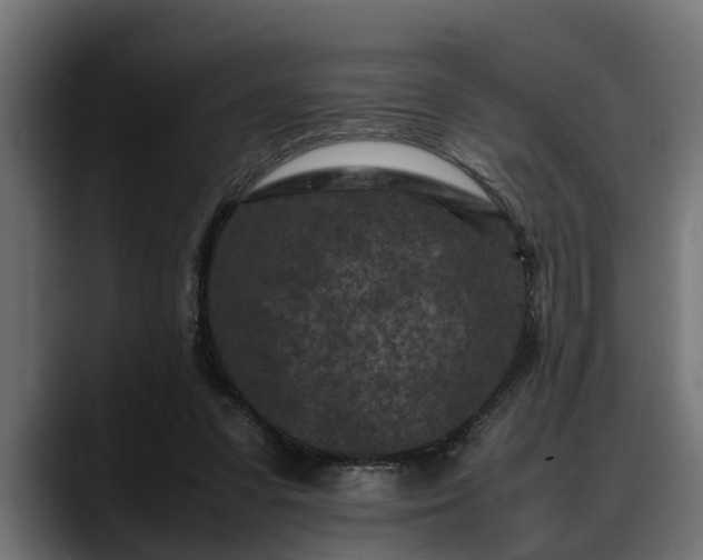 X0000088360303200705291313