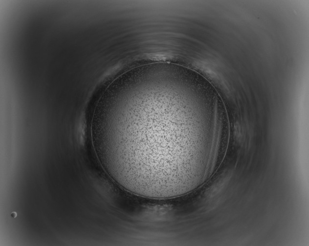 X0000088360304200705291313