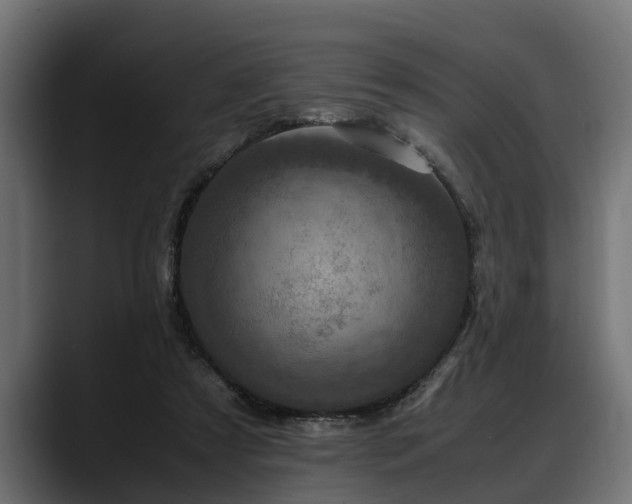 X0000088360305200705291313