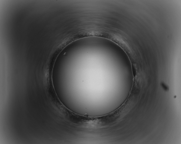 X0000088360306200705291313