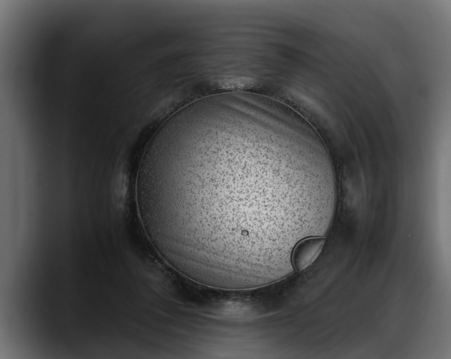 X0000088360308200705291313