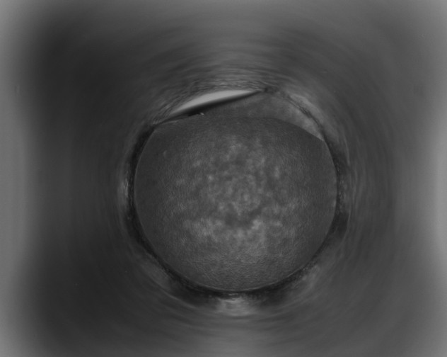 X0000088360309200705291313