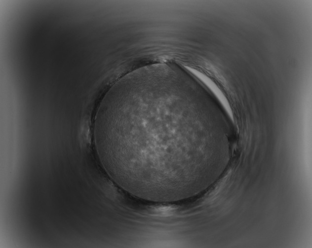 X0000088360313200705291312