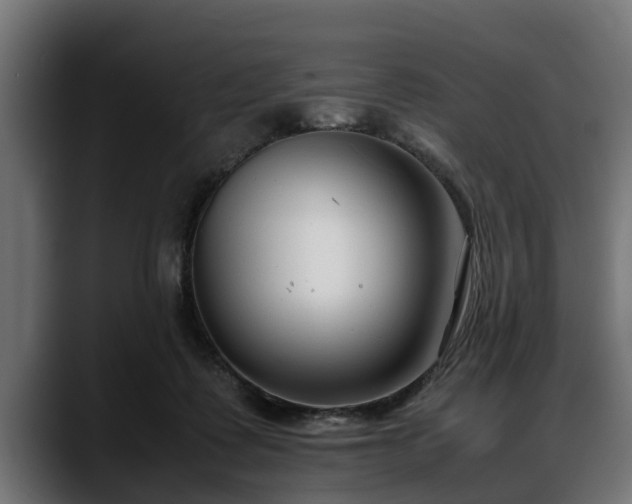 X0000088360315200705291312