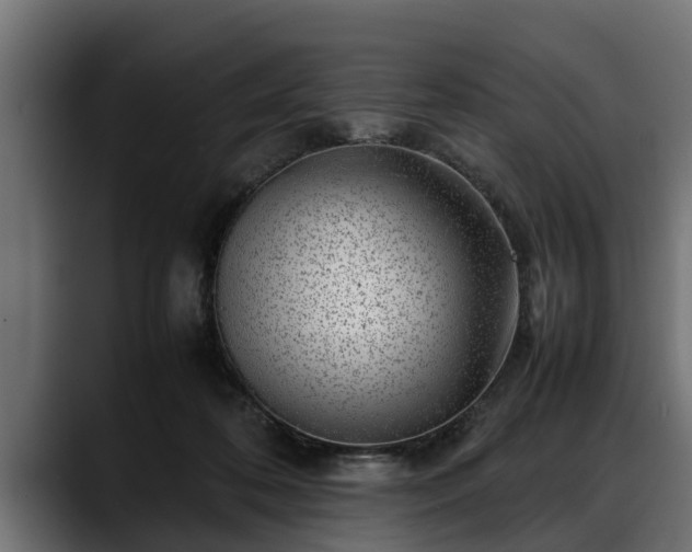 X0000088360316200705291312