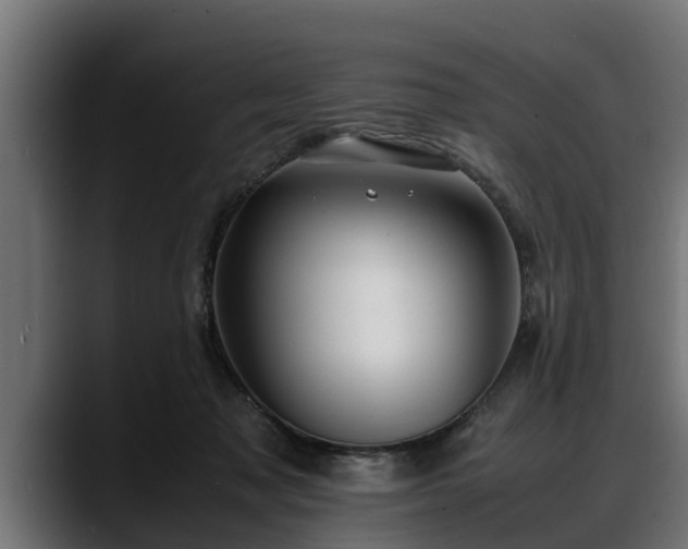 X0000088360317200705291312