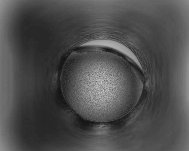 X0000088360319200705291312