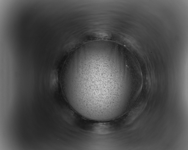 X0000088360320200705291312