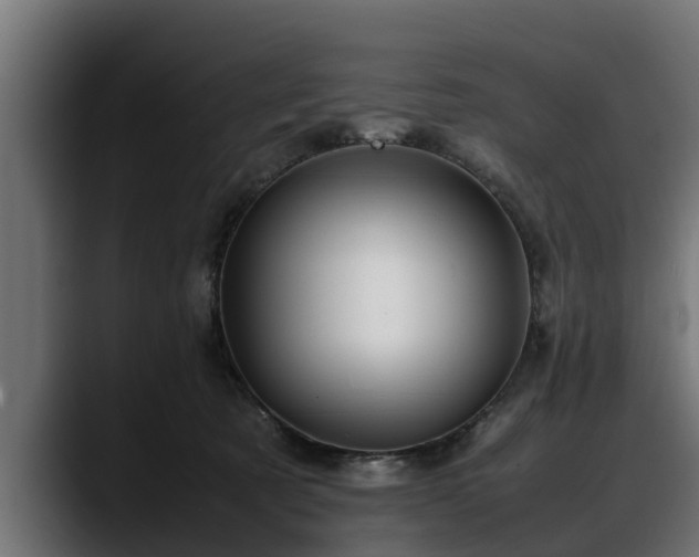 X0000088360321200705291312