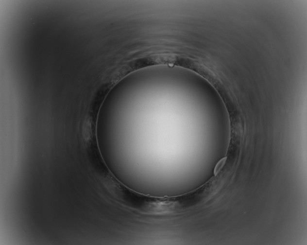 X0000088360323200705291312