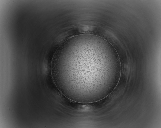 X0000088360324200705291312