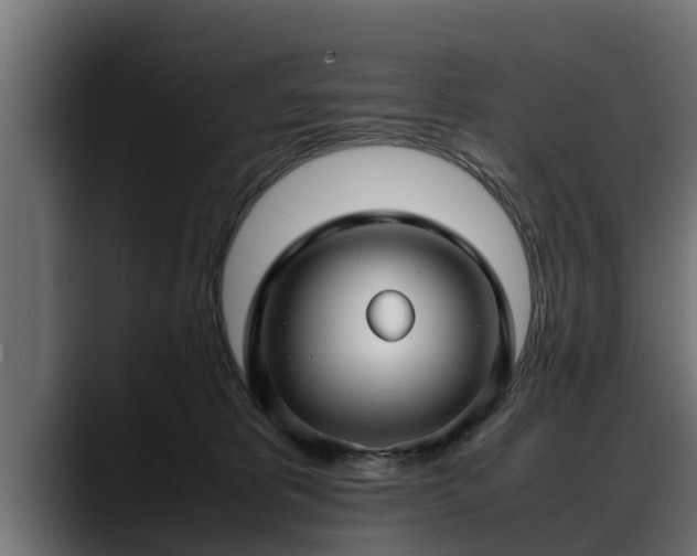 X0000088360325200705291312